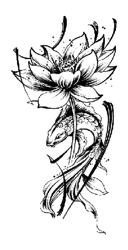 Lotus Koi