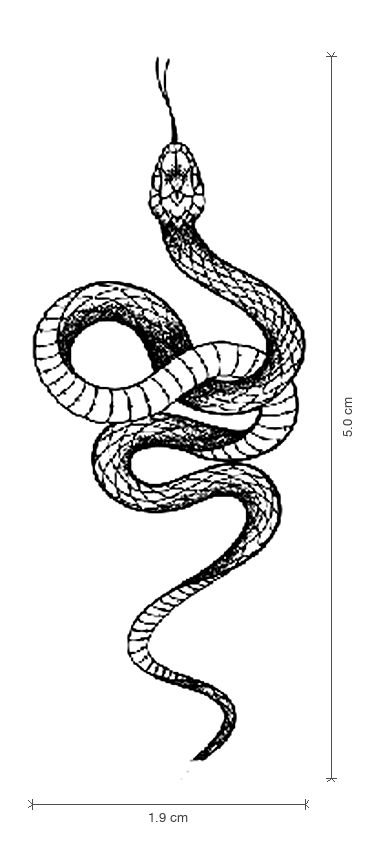 Coiled Serpent