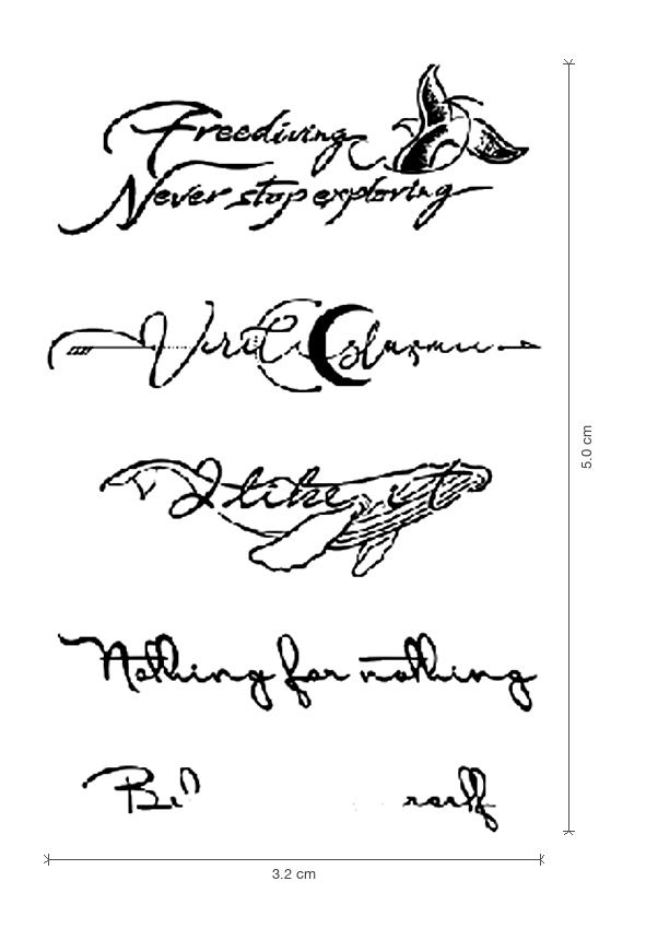 Wanderer Script