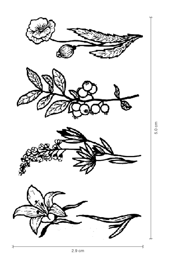 Botanical Sprigs