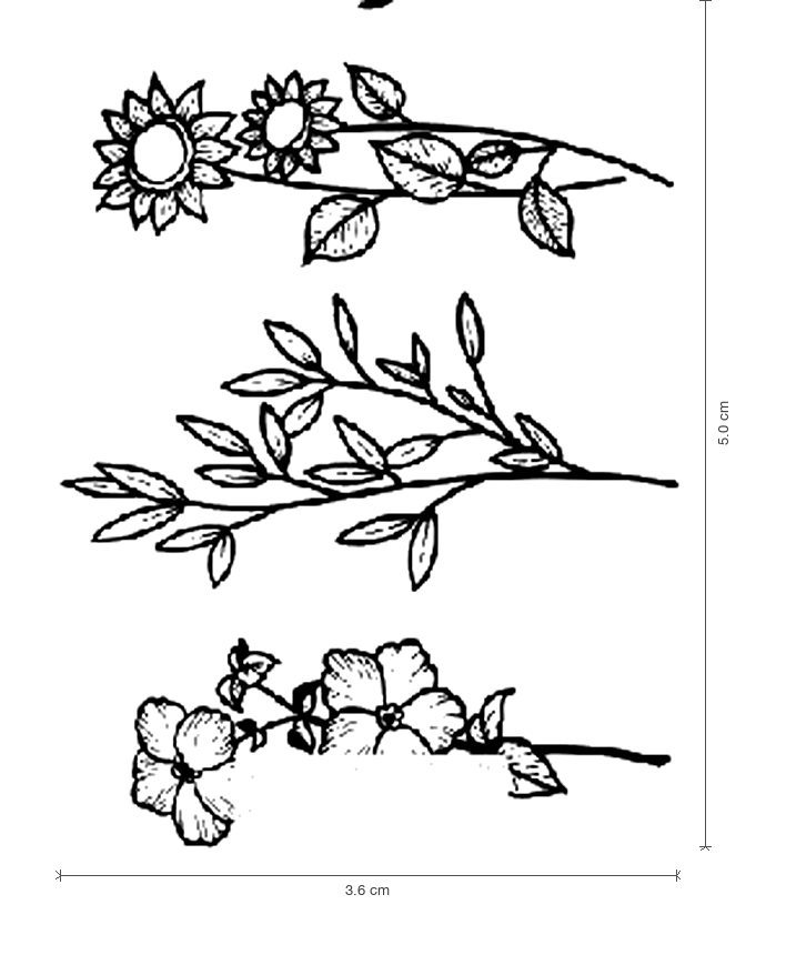 Branch & Bloom