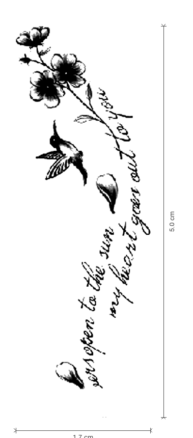 Hummingbird Heart
