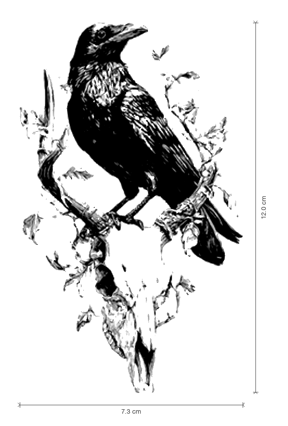 Raven & Skull