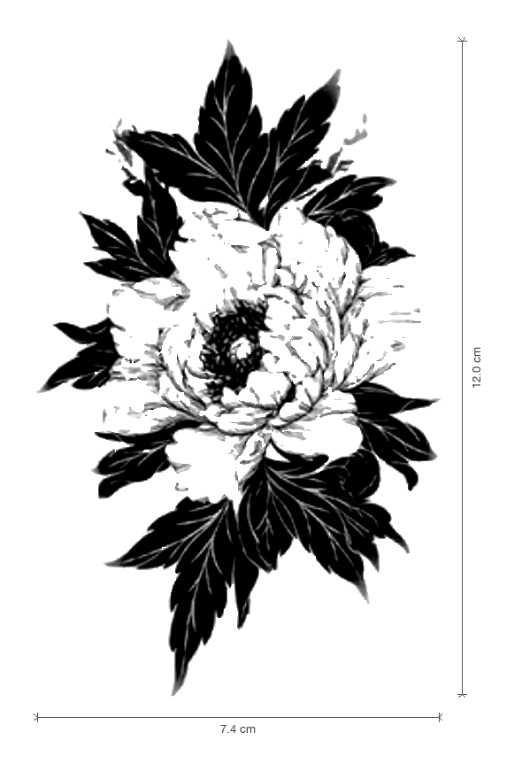 Ink Peony