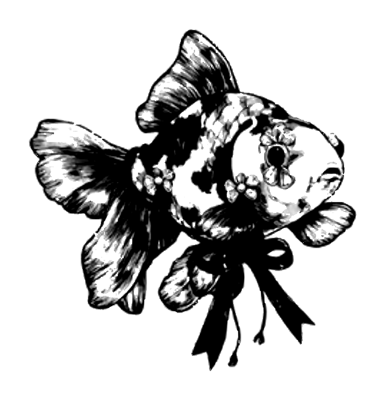 Bow Goldfish