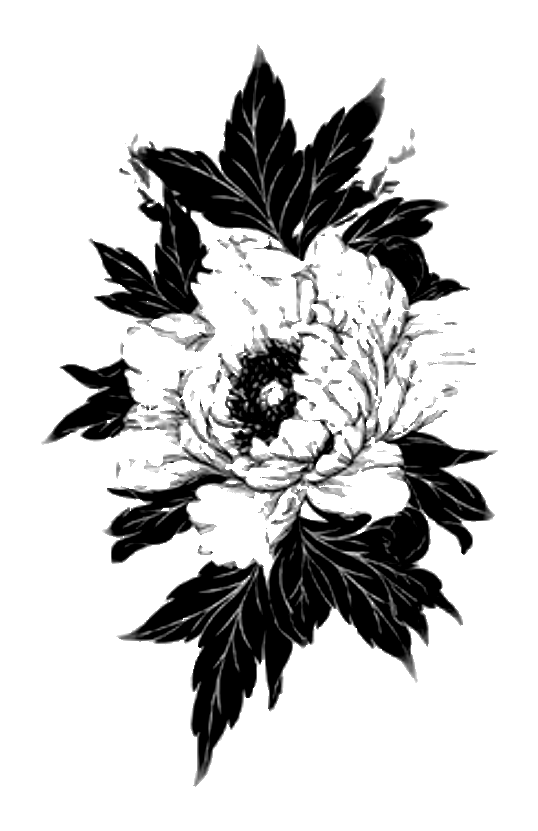 Ink Peony