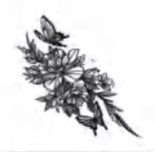 Wildflowers